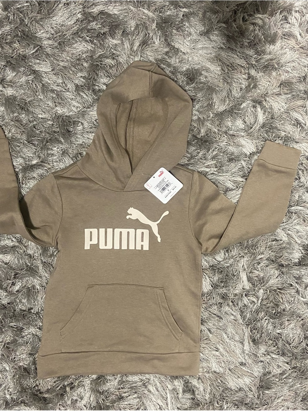 Puma Kids Taupe Hooded Sweatshirt with White Logo